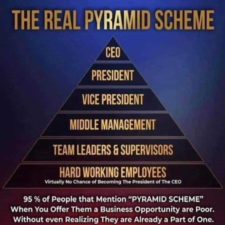 SEP_DAO (@sep_dao) on Twitter photo 