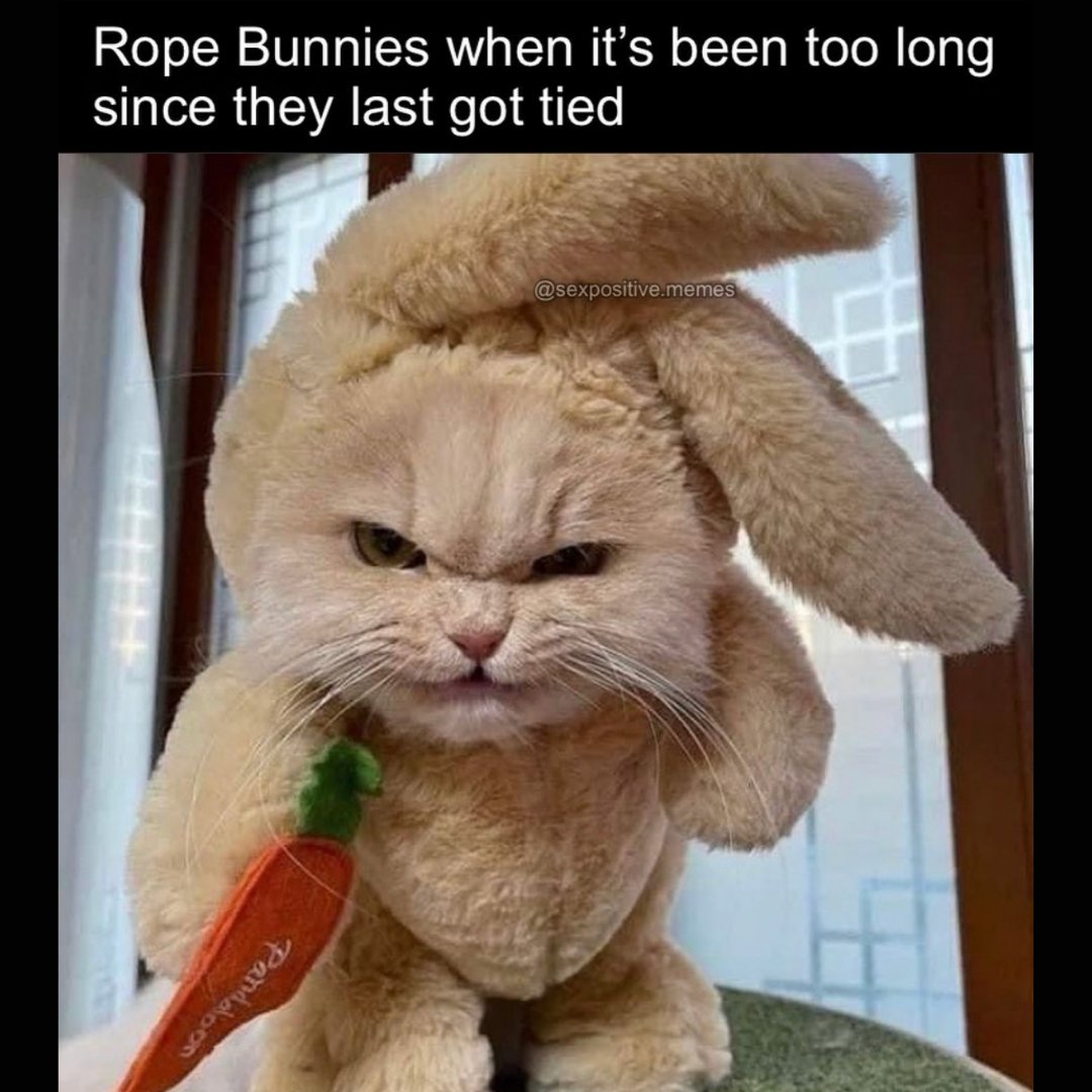 FoxtailApp's tweet image. lol @sexpositive.memes

 #fetish #bdsmdominant #bdsmlife #nsfwmemes #kinkymemes #kinkyshit #bdsmsub #ropebunny #kink #bdsmsubmissive #adulthumor #memes #bdsmswitch #bdsmcommunity #bdsmpetplay #bdsmtoys #bondage #sexymemes #bdsmkitten #funnymemes #bdsm #bdsmlifestyle