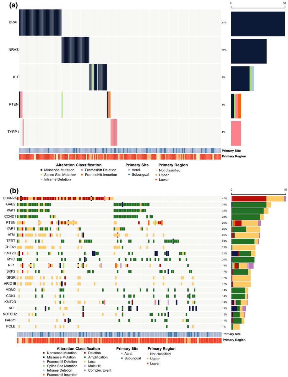 Pigment Cell & Melanoma Research tweet media