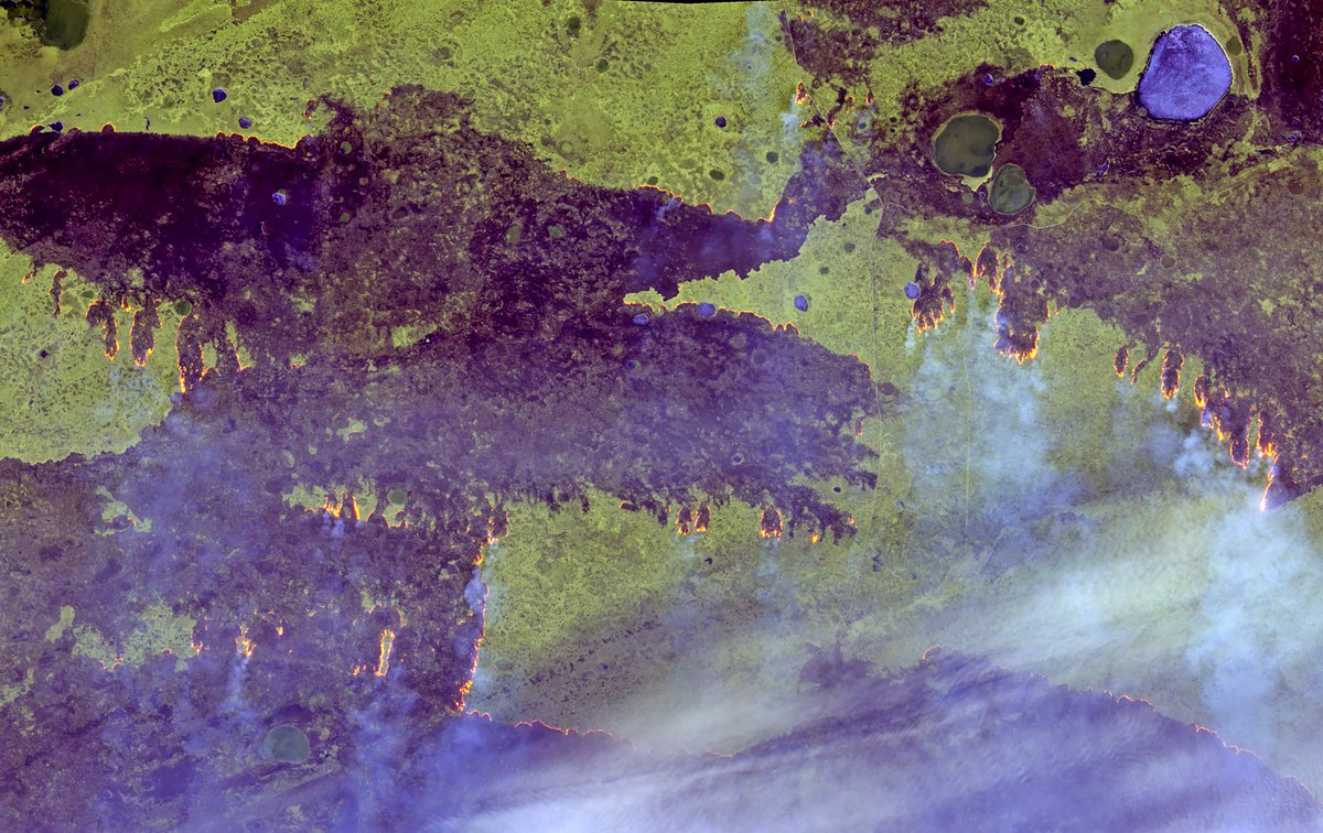 siberian_times's tweet photo. An aerial view of the current wildfires in Omsk region, Western Siberia, 300km northeast of regional capital Omsk. Picture by Sentinel2 via Antonio Vecoli @tonyveco #wildfires2022Russia https://t.co/dWy9DnUTvM