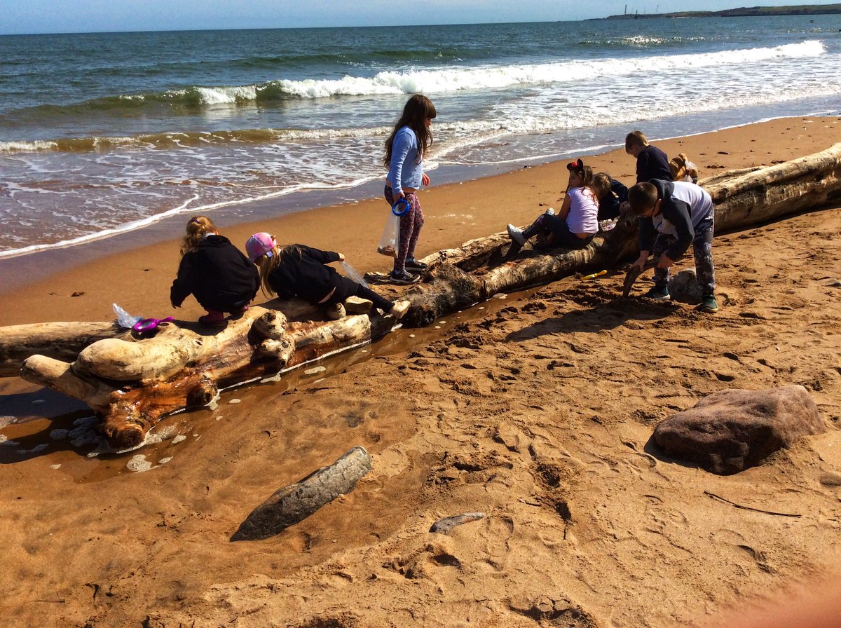 MrsDuffus's tweet photo. When is giant drift wood ever just giant drift wood? It was a boat, a look out post, a walk the plank challenge, a bug hotel… endless learning through play today. @school_seaton @MissJBackman https://t.co/MugGniiVli