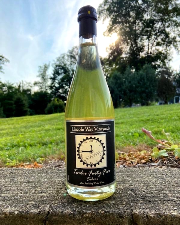 LincolnWayWines's tweet photo. Comment below if you agree mimosas are the best part of brunch? πββοΈ πββοΈ
Stop in this weekend and grab yourself a bottle (or two) of our 12:45 Sparkling White Wine for all your mimosa needs. Cheers!
#findyourwinetime #ohiomadewine #ohiowinery #supportlocalwineries #ohiowine https://t.co/tKfheZgBsS