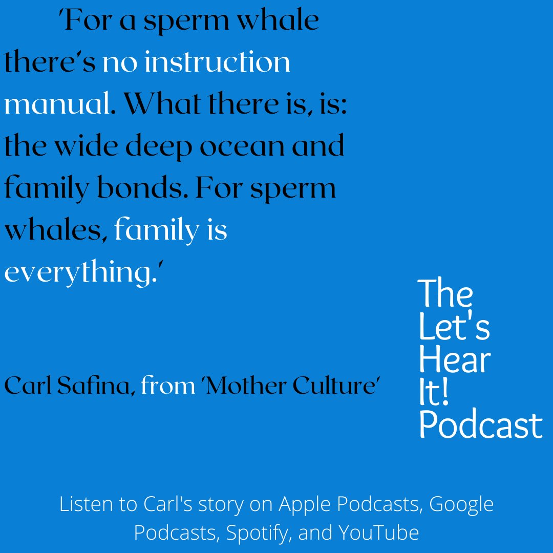 2. Which episode of the Let's Hear It! Podcast is your favorite, retweet if you love this: 
Listen now if you haven't already : linktr.ee/letshearitaudio <a href="/carlsafina/">Carl Safina</a> "Mother Culture", Read by Jim Morlino <a href="/Orion_Magazine/">Orion Magazine</a> <a href="/ChrisOgleVO/">Chris Ogle Voice Over</a>  <a href="/letshearitaudio/">Let's Hear It!</a>