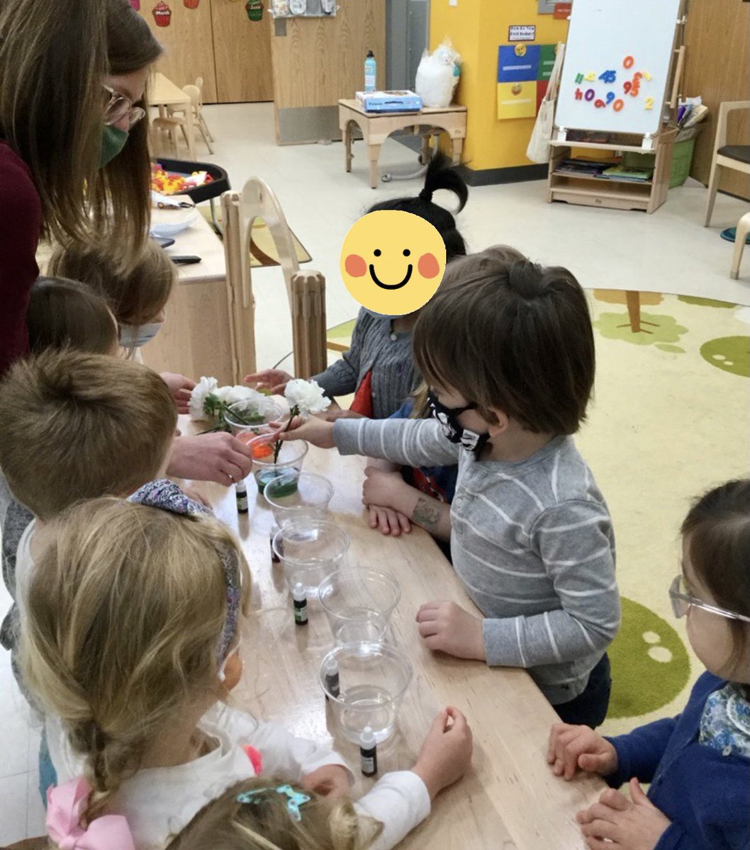 prenurserybisc's tweet image. Our campers have had so much fun during our Spring camp! Today we are learning what happens to white flowers when you add them to colored water! What colors will they turn?! #bisclp #bisclincolnpark #nordangliaeducation @BISCLincolnPark @Simonamsharp