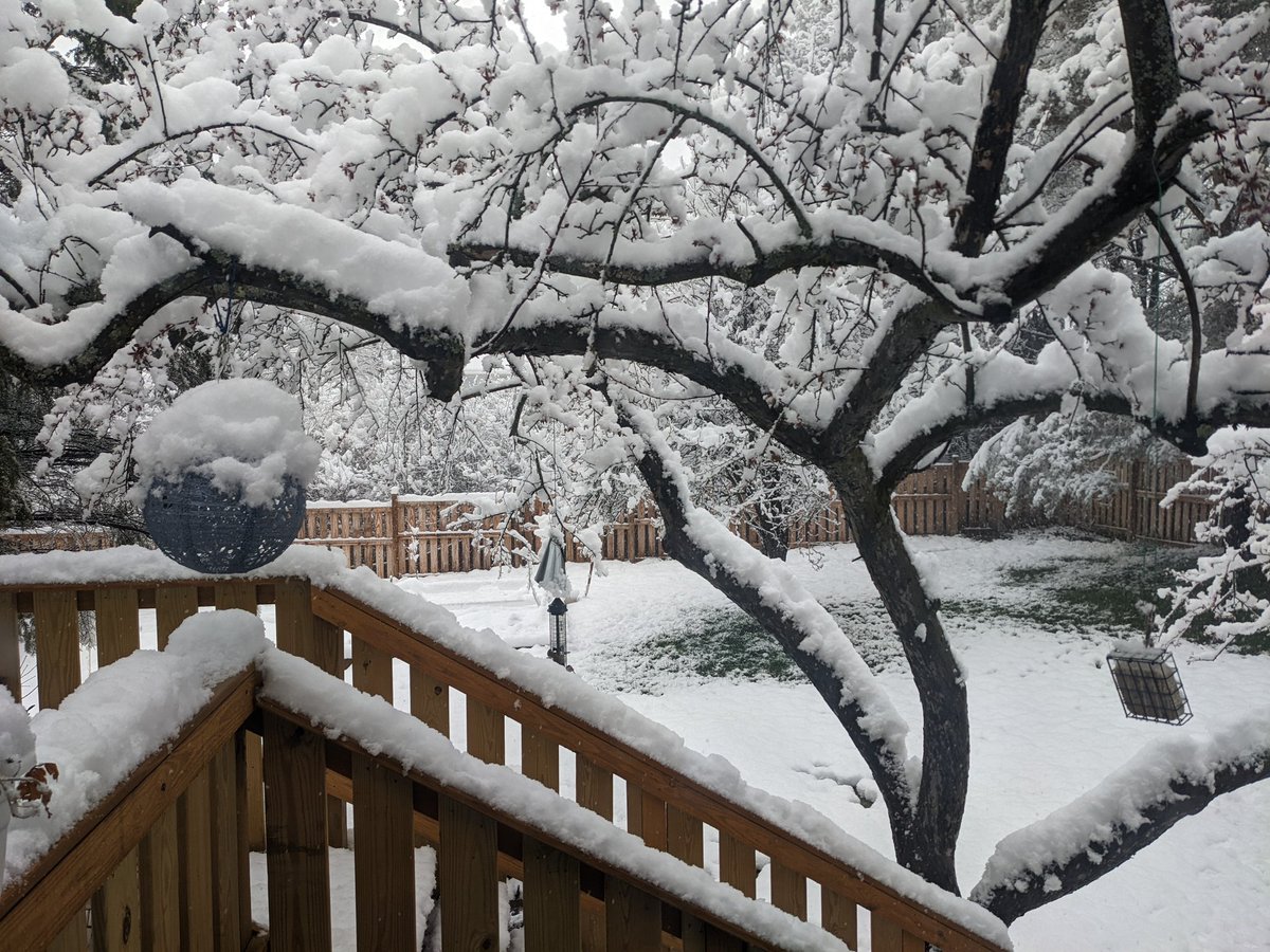 rachelneugarten's tweet photo. Just when you think winter is over... #ithacaiscold https://t.co/kMheQitSWZ