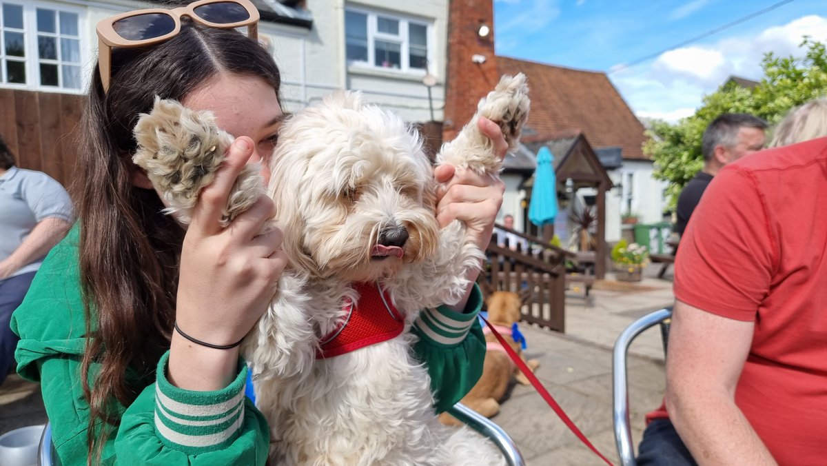 Thank you to every dog, pup and their owners who came to our inaugural Dog Funday yesterday.  
#LoveDogs #LoveOverton 

The dogs were really well behaved.
The owners were mostly quite good, too.