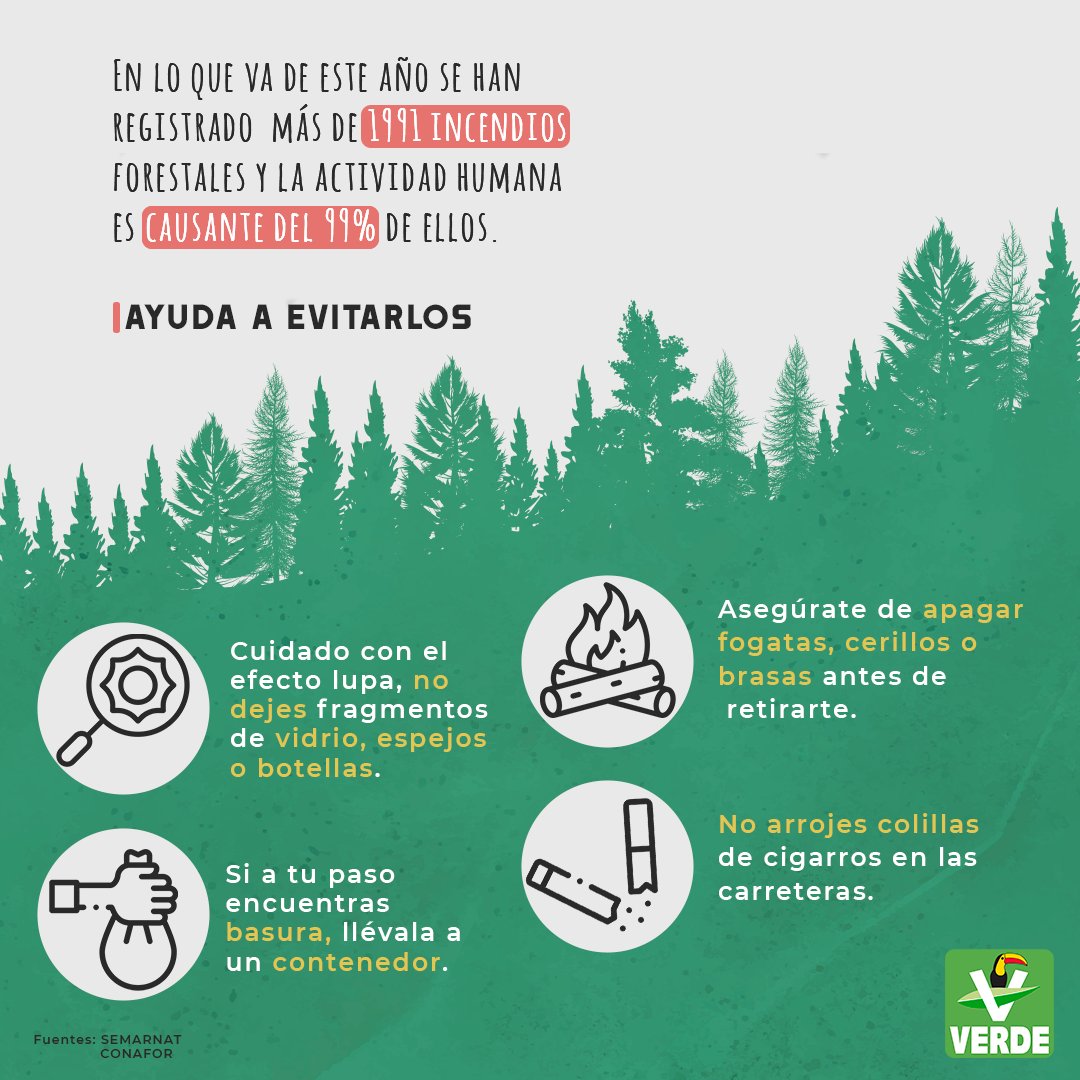 Cerca del 99% de los incendios forestales son provocados por descuidos humanos.

Evita que un momento de diversión dañe a la naturaleza permanentemente.

#SerVerdeEs proteger los bosques