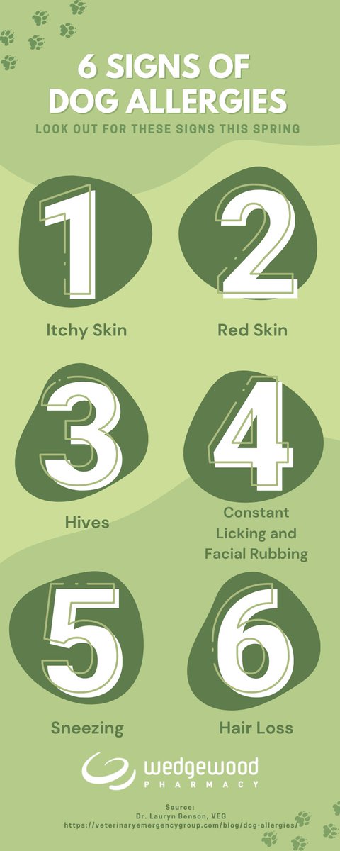 Does your dog have allergies? As spring approaches, allergies in our furry friends may become more evident. Below are some commonly seen symptoms of allergies in dogs, as explained by Dr. Lauryn Benson of VEG 

Source: bit.ly/3uV6tSF