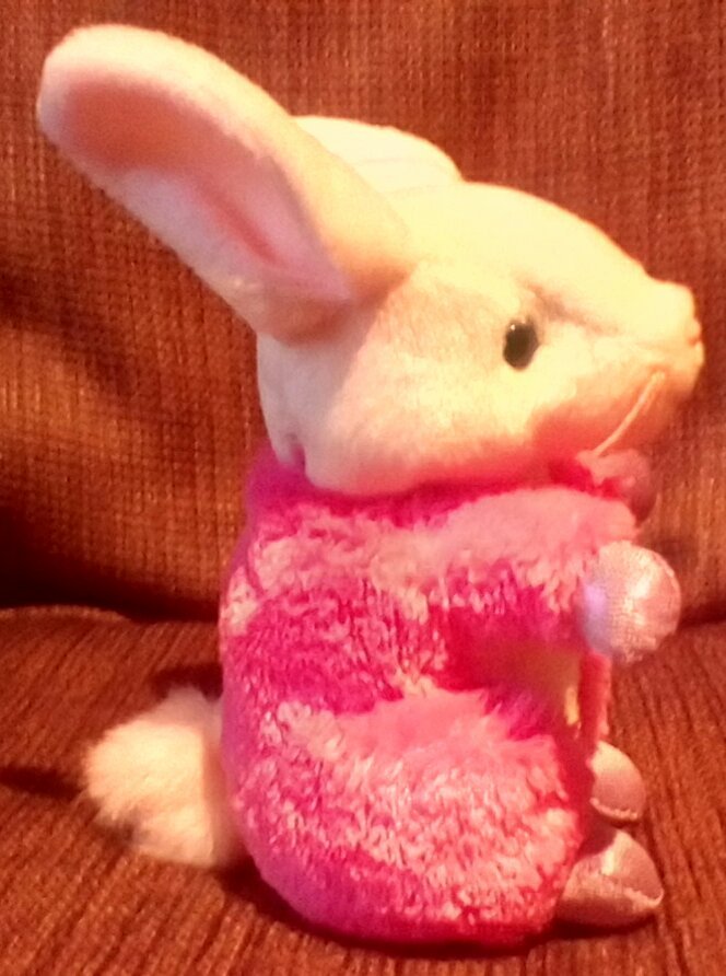 #scrapbagbaby #plush by #catschimericalcreations #plushmaker #plushrescue #recycledplush #upcycledplush #oddcore #weirdcore #kidcore #nostalgiacore #90skids #tybeaniebabies #frankenbeanies #frankenplush #alteredplush #modifiedplush #mixandmatchmonster #beaniebabies  #weirdplush