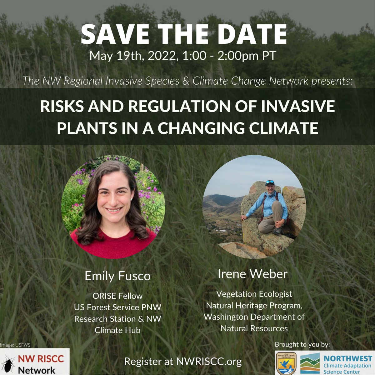 NWRISCC's tweet photo. Join NW RISCC for the webinar "Risks and Regulation of Invasive Plants in a Changing Climate" May 19th from 1:00-2:00 pm PT. 

Register here: 
https://t.co/lu2fBY62Zf

Learn more about the webinar and the Network here: https://t.co/4LxxXPRWpa https://t.co/j82icjXRB4