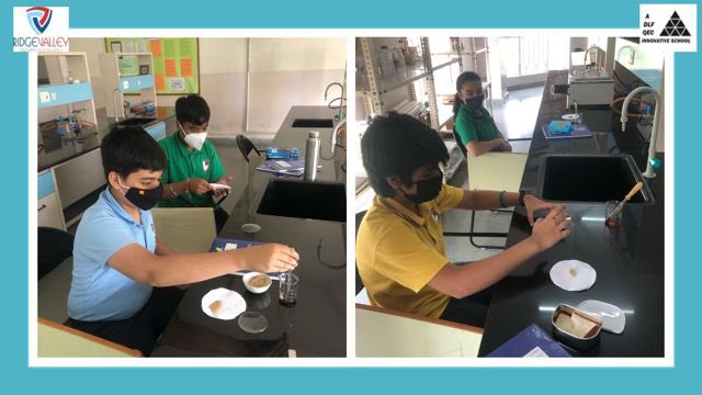RidgeInfo's tweet photo. Students of Grade VII performed an experiment in Biology lab to prove that the first stage of digestion starts in our mouth.They were excited to see the results and went back with a new experiential learning. #experientiallearning #observationandanalysis @NidhiTewarii https://t.co/XBgzQHWV7z