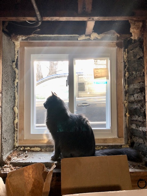 PeoplesProdCo's tweet photo. Basement windows in Oakham, Massachusetts are Abby cat approved!!  https://t.co/skyxaAEgI9 1-800-354-7660 https://t.co/QOnYvDAqfx