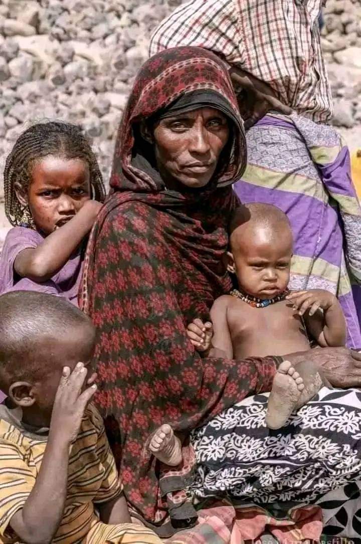 afar_jamal's tweet photo. Humanitarian no discrimination. 
No ethnic difference. 
That was in my opinion. 
But now we have looking much sneaking from WFP.
Afar Needs Food.
This so displaced peoples. https://t.co/MPu0NjV8c1