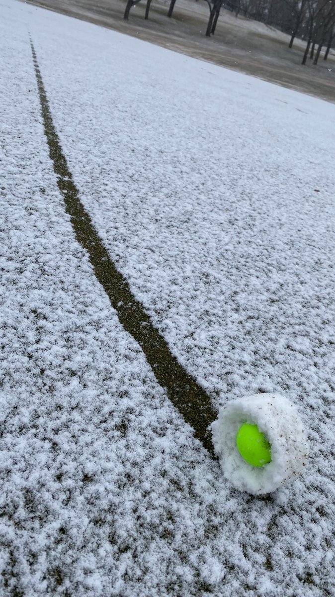 IScarlettButler's tweet image. April #golfing in #Calgary?…#SnowProblem 😂