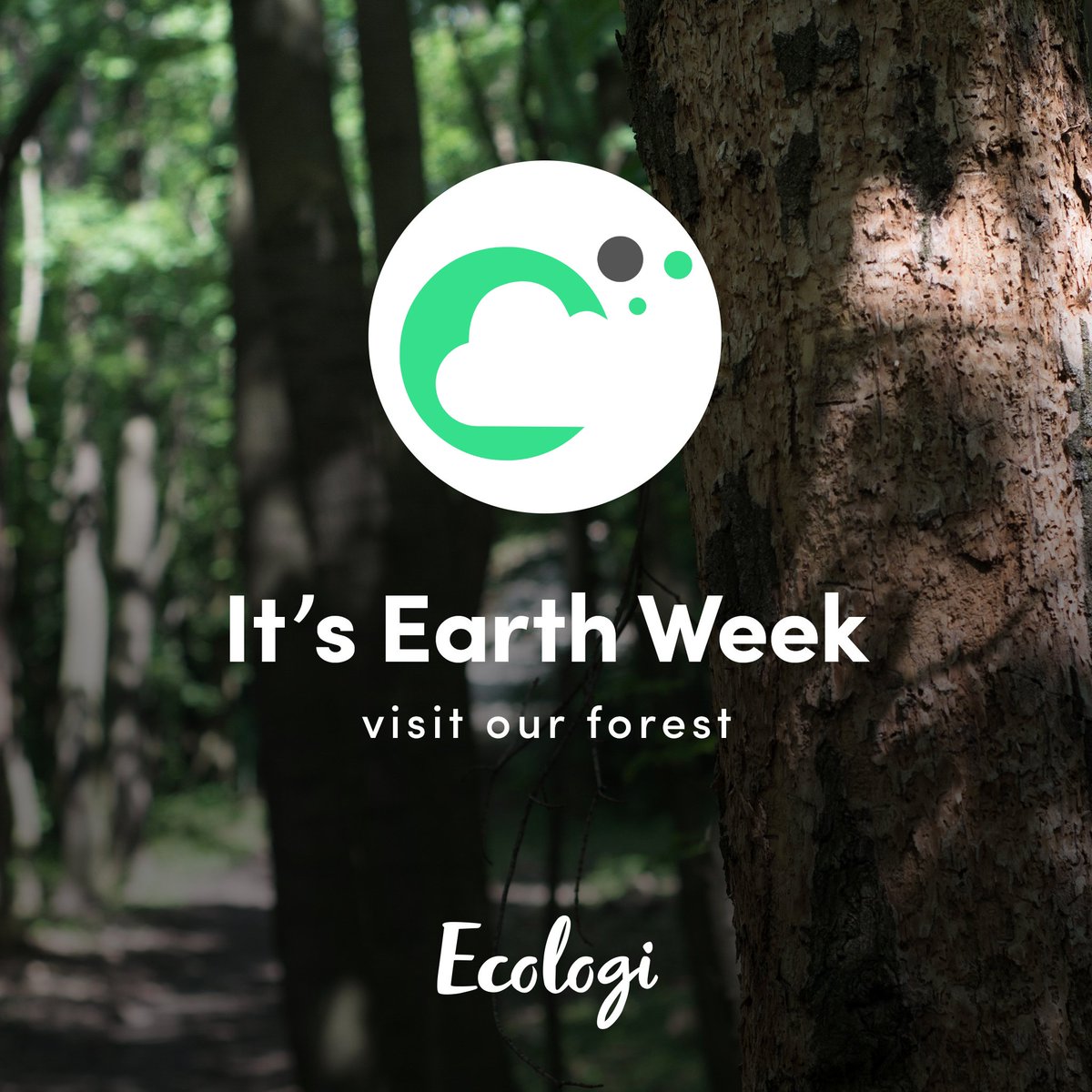 TheSaasyPeople's tweet photo. We've already planted over 3500 trees, reducing over 65 tonnes of CO2 this year &amp; will be planting hundreds more before the end of 2022!

View our @Ecologi_hq forest here: https://t.co/8S9y0qtUQb

#ThePowerOfPossible #InvestInOurPlanet #EarthDay #EarthWeek #EarthDay2022 #getsaasy https://t.co/zJVRlSFrgZ
