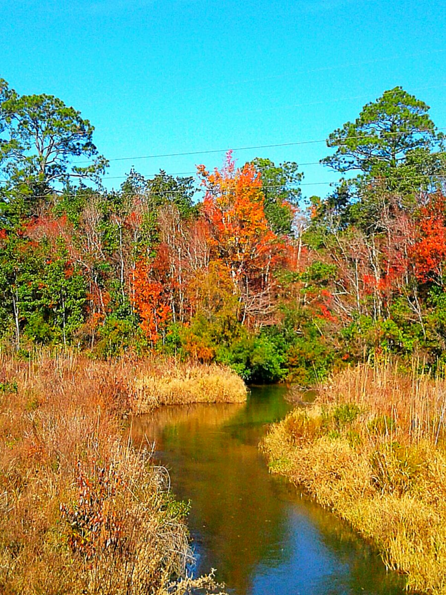 North West Fl in December.