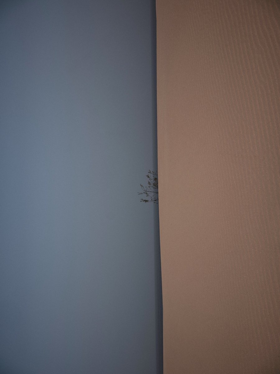 Pinkrnell tweet media