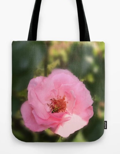 Manitarka's tweet photo. #rose #scense #flower #scenr #spring #summer #bllom #blossoms #photgraphy #wallart #prints #bedding #tote #Society6 #offers #Manitarka
https://t.co/auxw77NSJU https://t.co/RNB6AOd3Th