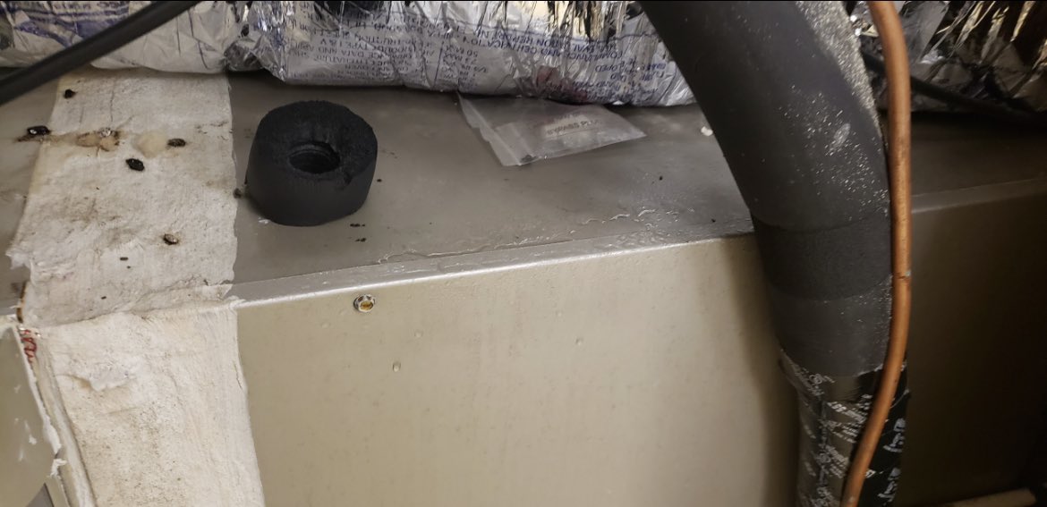TONERhm's tweet photo. This year we have found lots of bulk water damage at HVAC systems that people thought were roof leaks! 😱

#tonerhomematters #buildingforensics #forensicwalkthrough #houstonconstruction #houstonhomes #houstonrealestate #houstonbuilders #houstonbuilder #houstoncustomhomes https://t.co/coGINyA0sf