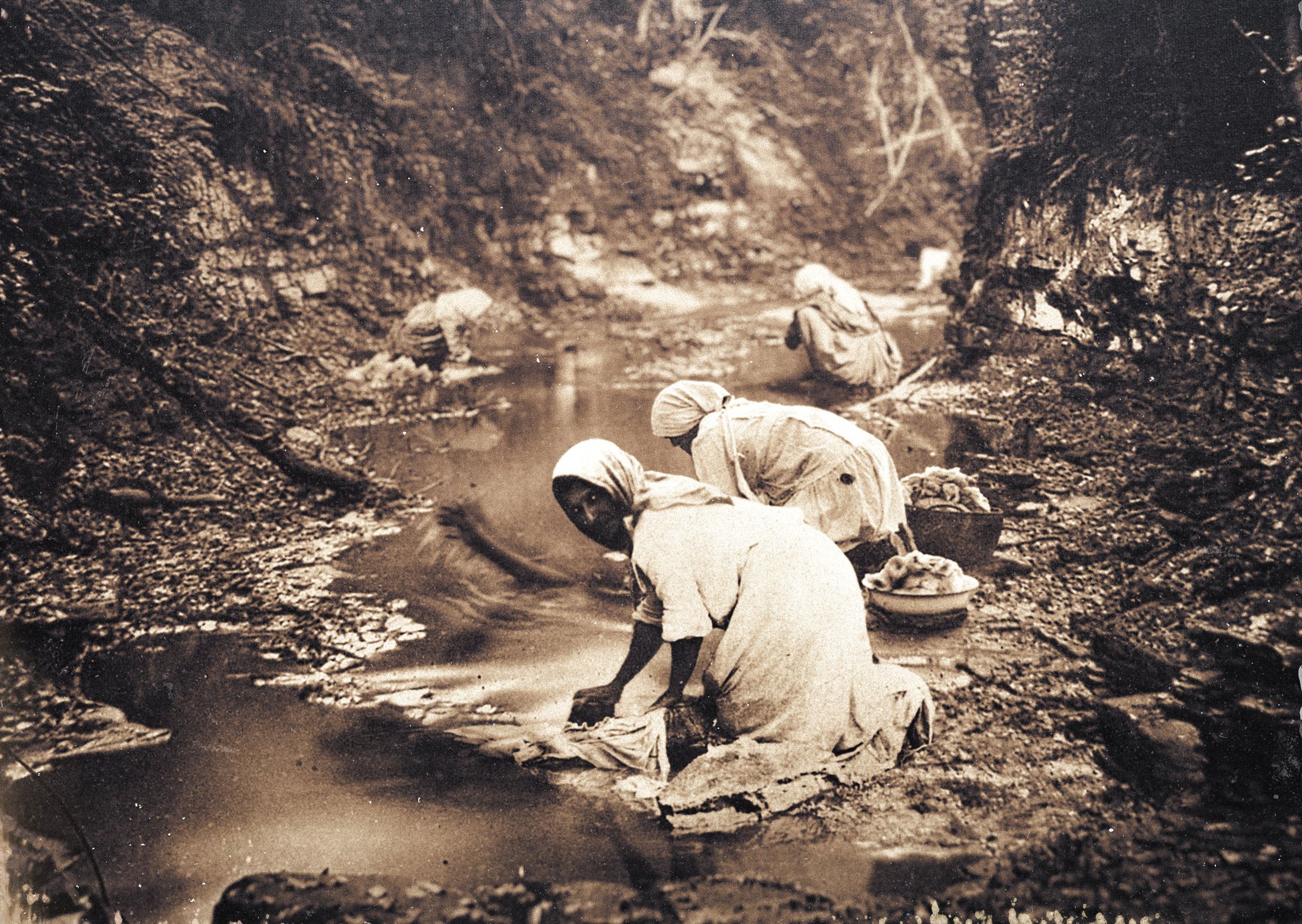 Eduardo ValdésHevia 🦟 on Twitter "In the forests of Asturias, people
