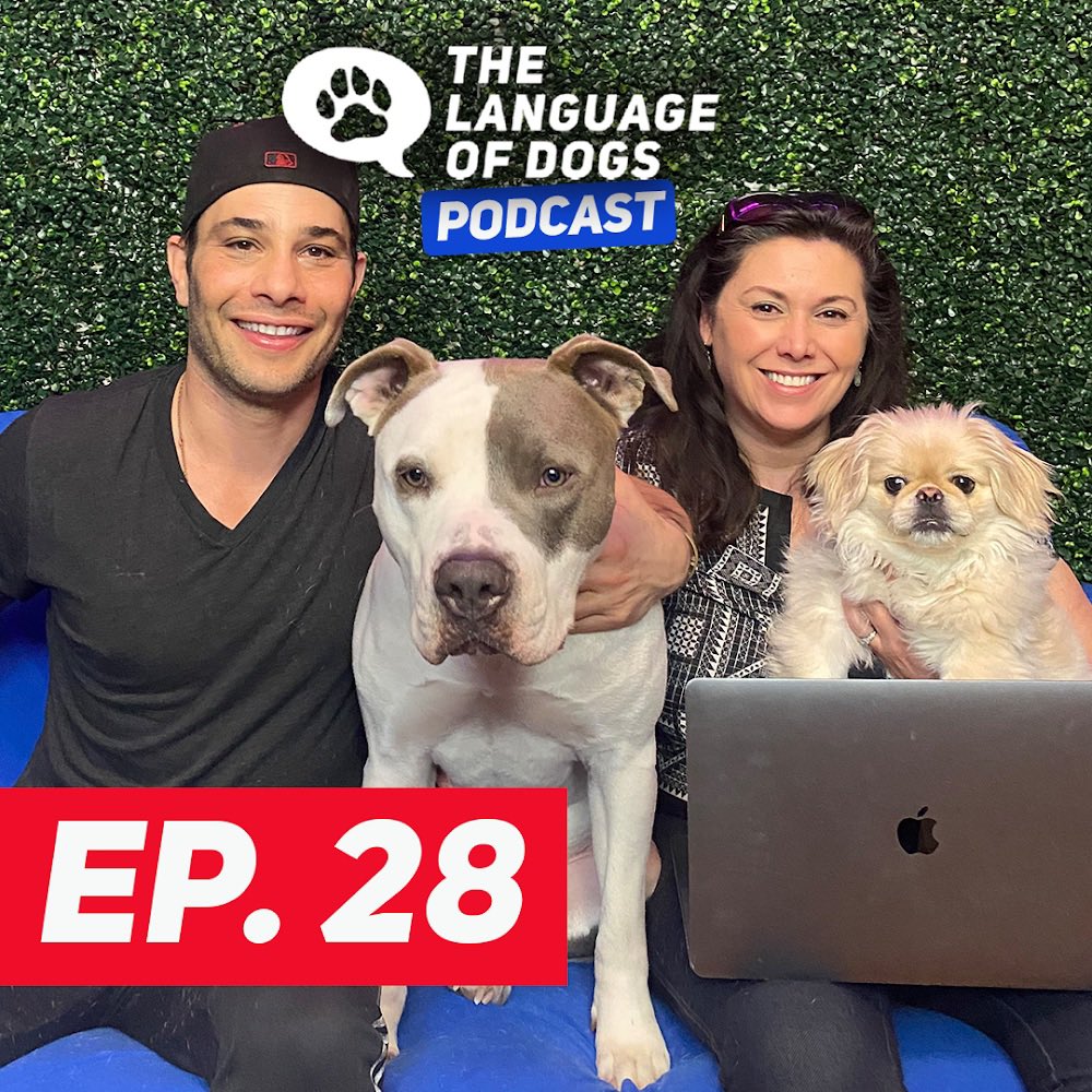 LanguageOfDogs tweet picture