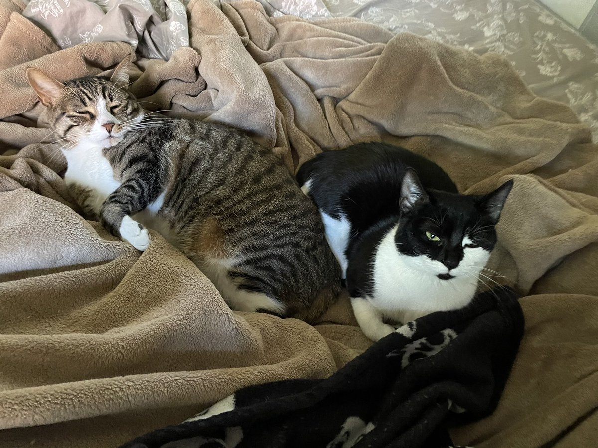 I tolerate my sister