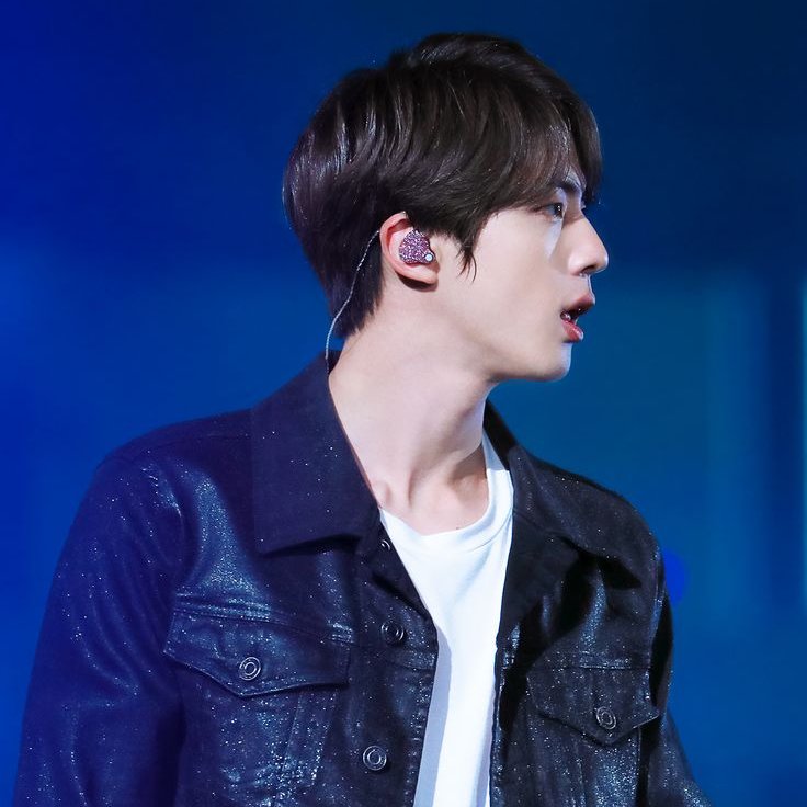 kim seokjin's side profile >>>