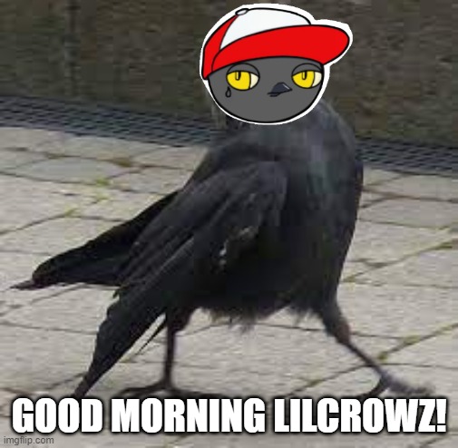 LiLCrowZ's tweet photo. Good morning LiLcrowz! We're steadily growing thanks to our supportive community! Keep up the good work! Lots of great things in store for u guys! Stay tuned for more! @StonedRancher @CryptoJ_Invests @BlockHeadzArt @himzbadboi @CroMental @sliqstar @CrowCoinCRO @crowcoin_army #CRO https://t.co/y1oJH68Dki