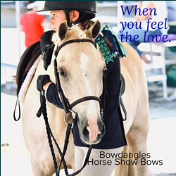 ChiefBowdangler's tweet photo. For Show Moms everywhere.   
Peacock bows are in Peacock Bows section on my website, bowdangleshorseshowbows dot com. Beautiful with blue, black, and green jackets. https://t.co/kfjFX5OFSk