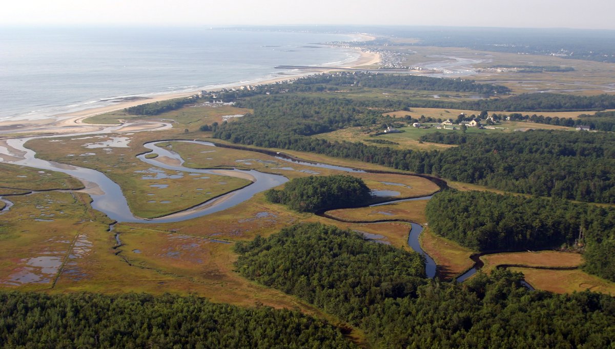 NOAADigCoast's tweet photo. Celebrate #EarthDay by taking a stroll through a National Estuarine Research Reserve and enjoy the treasures of 🌎.  Find one near you: https://t.co/CvoGqNCX8w @NOAA https://t.co/M7vzOtfEHD