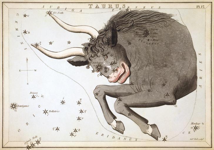 Ljubavni horoskop bik studeni