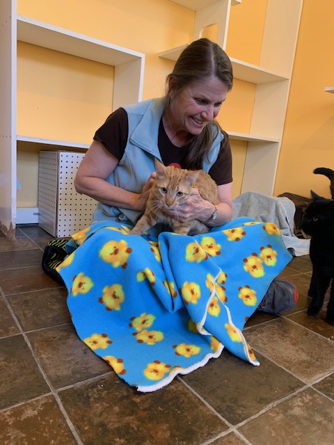 We're recognizing our wonderful volunteers this month. Check posts and stories on Facebook. Sign up to volunteer: adoptmountainpets.org/get-involved/v…
#adoptmountainpets #volunteers