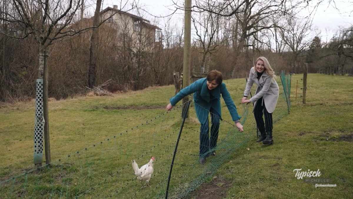 Eier stähle mit dr <a href="/RegulaRytz/">Regula Rytz</a> hüt ab 19:30 uf @TeleBaernTV 🐓

#nationalrätin #telebärn #typischmichelle #regularytz