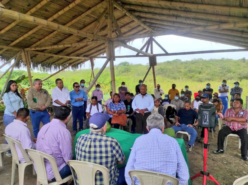 Agricultura, Ganadería y Pesca Ecuador 🇪🇨 tweet media