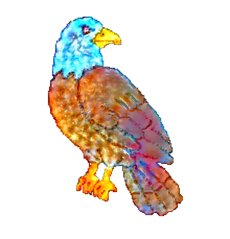 Falcondream tweet media