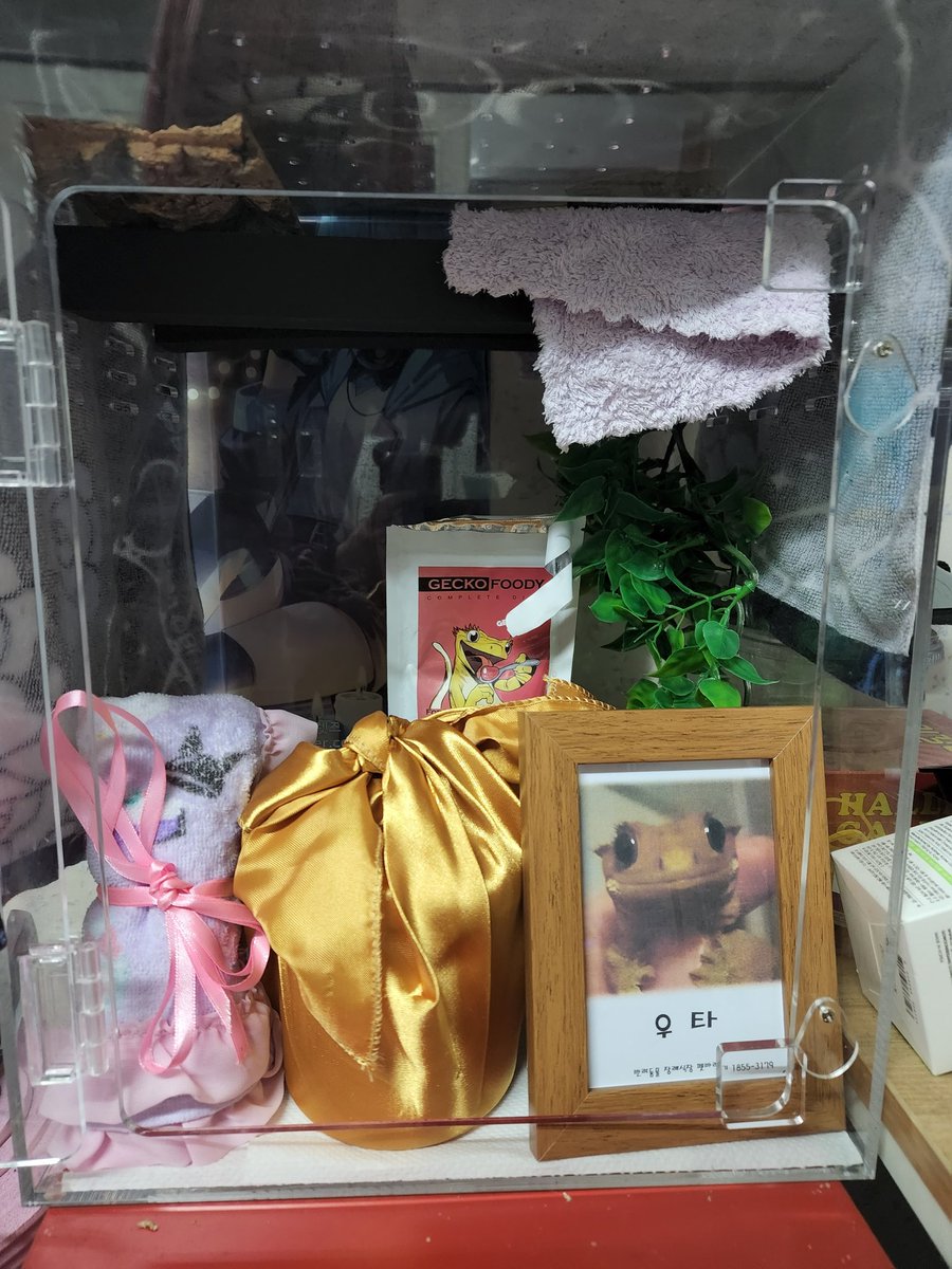 uta_nkimo's tweet photo. *
갑작스럽지만
우타가 어제 저녁 세상을 떠나게
되어 잘 보내주고 왔습니다.

널 만나서 행운이었어
나중에 다시 만나자

우타(2020.12~2022.04.19) https://t.co/eUizrdWsJg