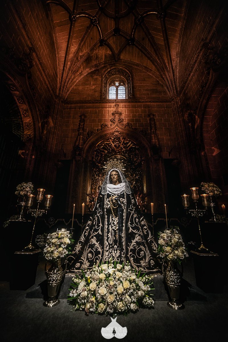 Alfonso Barco tweet media