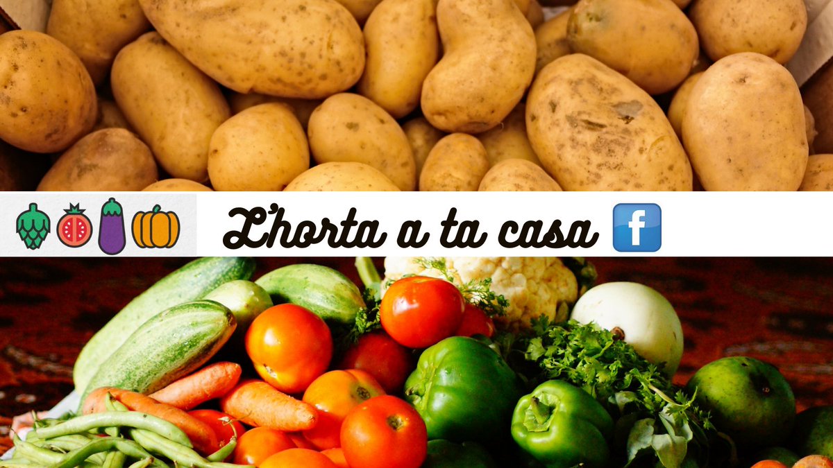 PerlHorta_Albo's tweet image. Sou d'Alboraia o voltants, voleu comprar hortalisses, fruites i verdures a llauradors i llauradores, però no sabeu ón ni cóm fer-ho? Potser açò siga d'interès per a vosaltres 👇