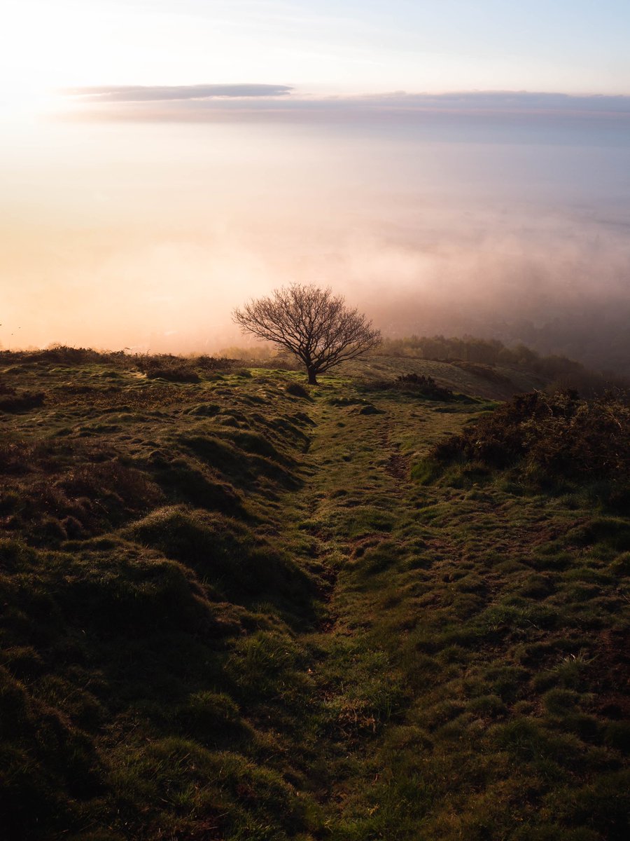 walkhikeexplore's tweet photo. We had some great conditions over the Easter weekend, this being one of them. 

My plan was to head to one of the lower hills further down the ridge but when I stepped out and saw the thick mist I thought I better head up higher, paid off. 

#malvern #malvernhills #sunriseshots https://t.co/VWncesnm3k