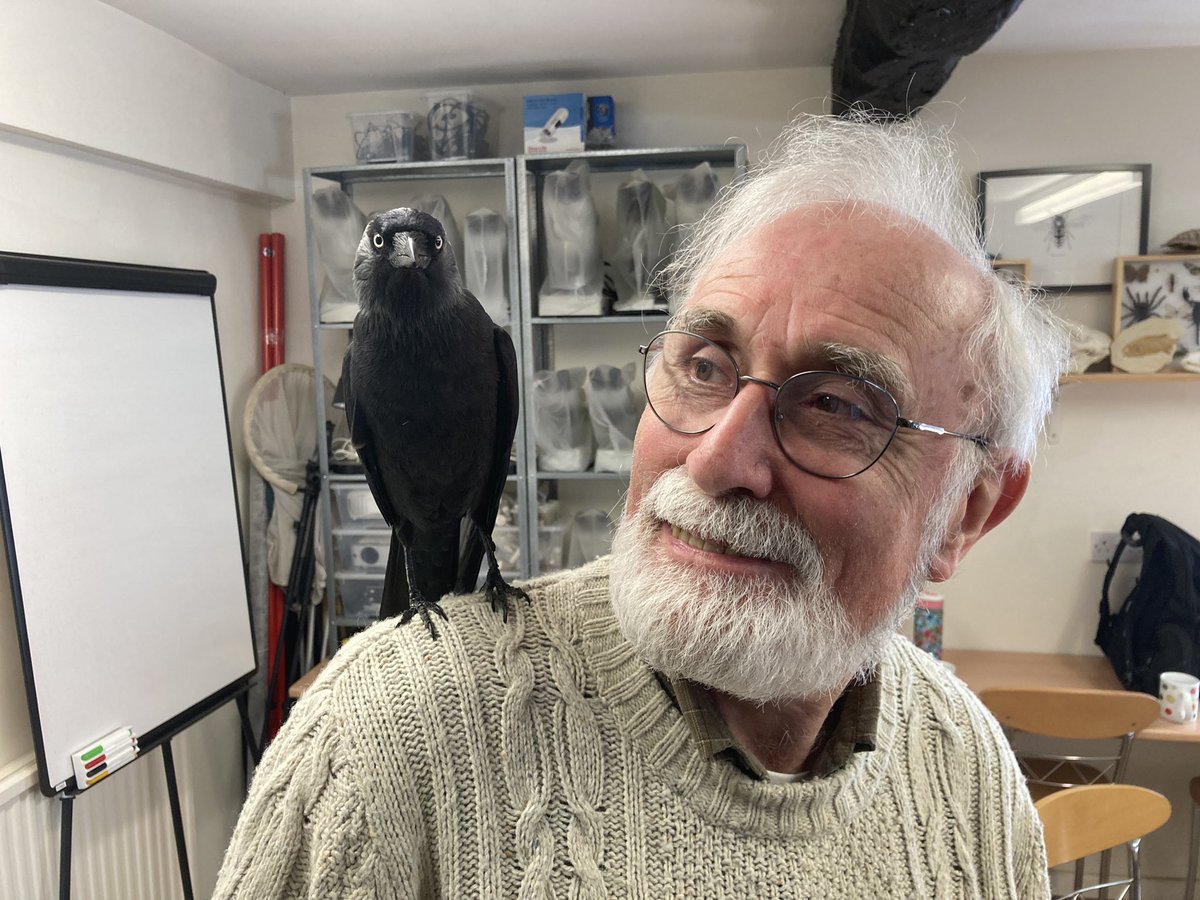 HarryJackdaw's tweet photo. They’ve been busy running their archeological workshops @berrycroft_hub which has meant more attention, a constant selection of packed lunches &amp; lots of things to inspect, especially the shiny things! I missed all this during lockdown https://t.co/UOzbJO5xW1