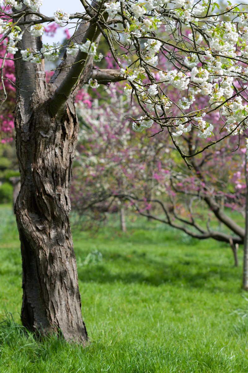 Igor_Bystander's tweet photo. Great weather on bank holidays and lots of walk and photo @CityCorpHeath 

Fancy a print? Drop me a message!

Really appriciate your likes and retweets.

#HampsteadHeath #photo #Naturephography #London https://t.co/Xyhp8n741b