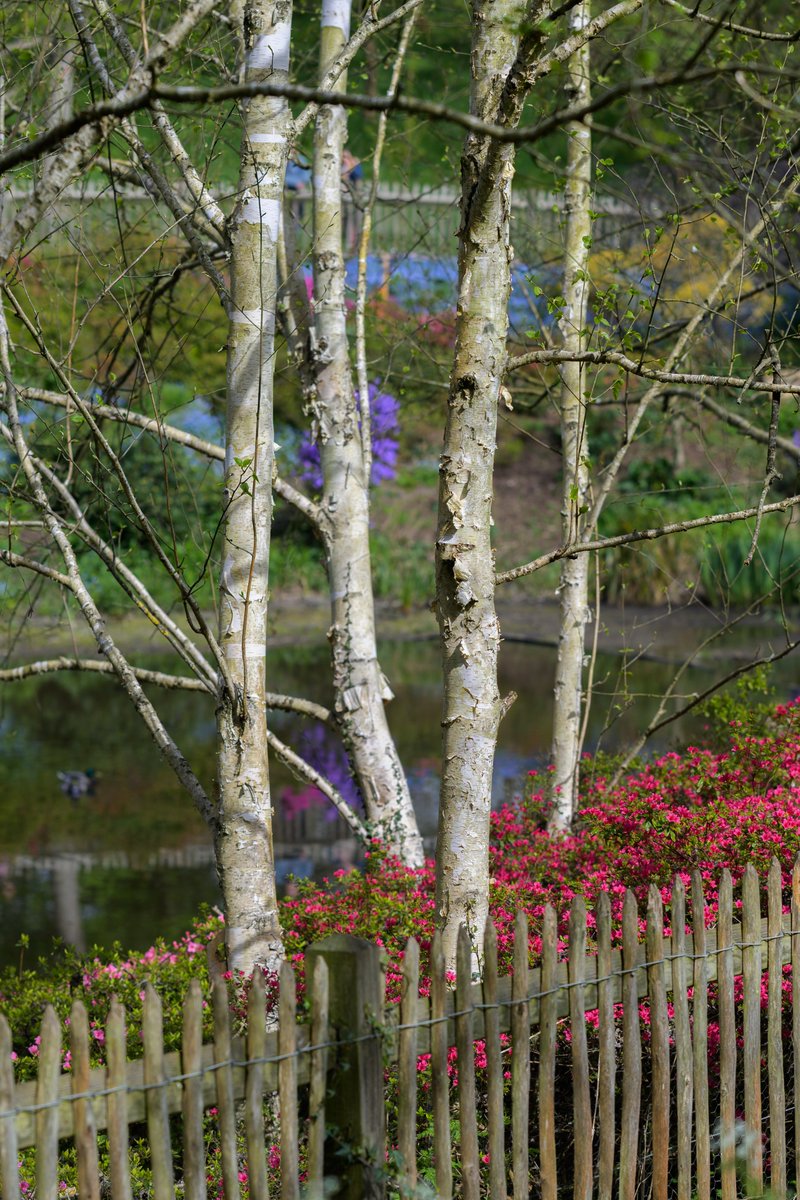 Igor_Bystander's tweet photo. Great weather on bank holidays and lots of walk and photo @CityCorpHeath 

Fancy a print? Drop me a message!

Really appriciate your likes and retweets.

#HampsteadHeath #photo #Naturephography #London https://t.co/Xyhp8n741b