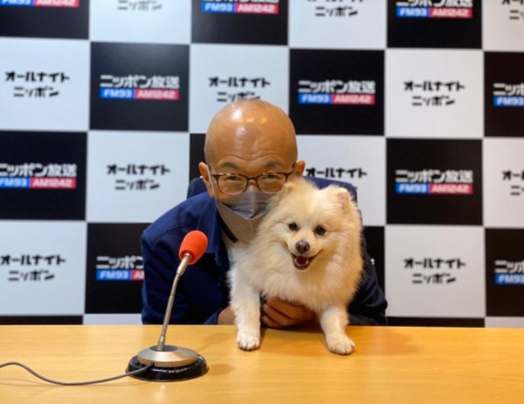 ポメラニアン Twitter 最も人気のあるツイート Japan ポメラニアン Twitter 最も人気のあるツイート Japan