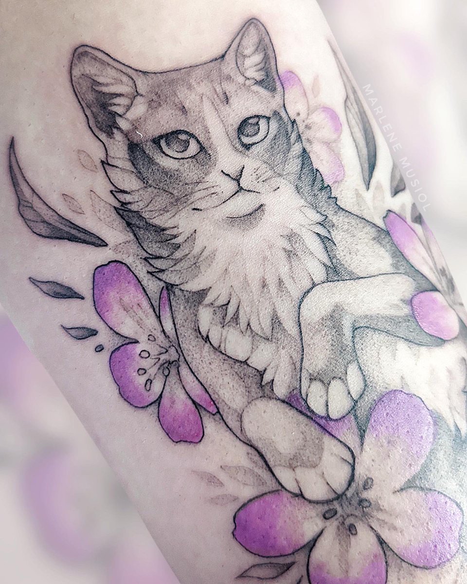 Soft cat memorial tattoo 🌸, image size:960x1200