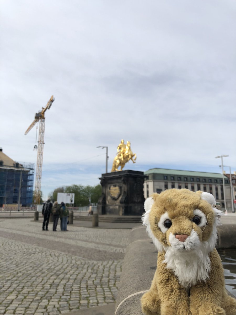 Melanie 🐯 tweet media