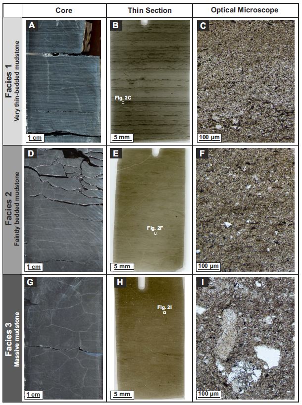 Miquel Poyatos Moré tweet media