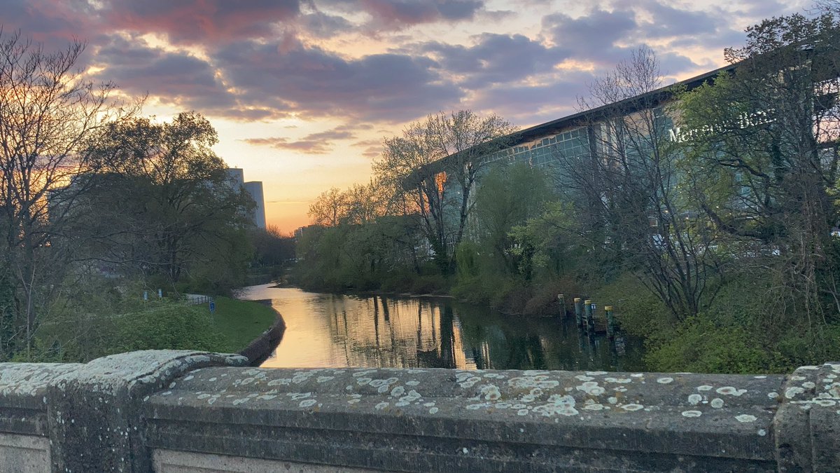 CardanoCommunity Berlin tweet media