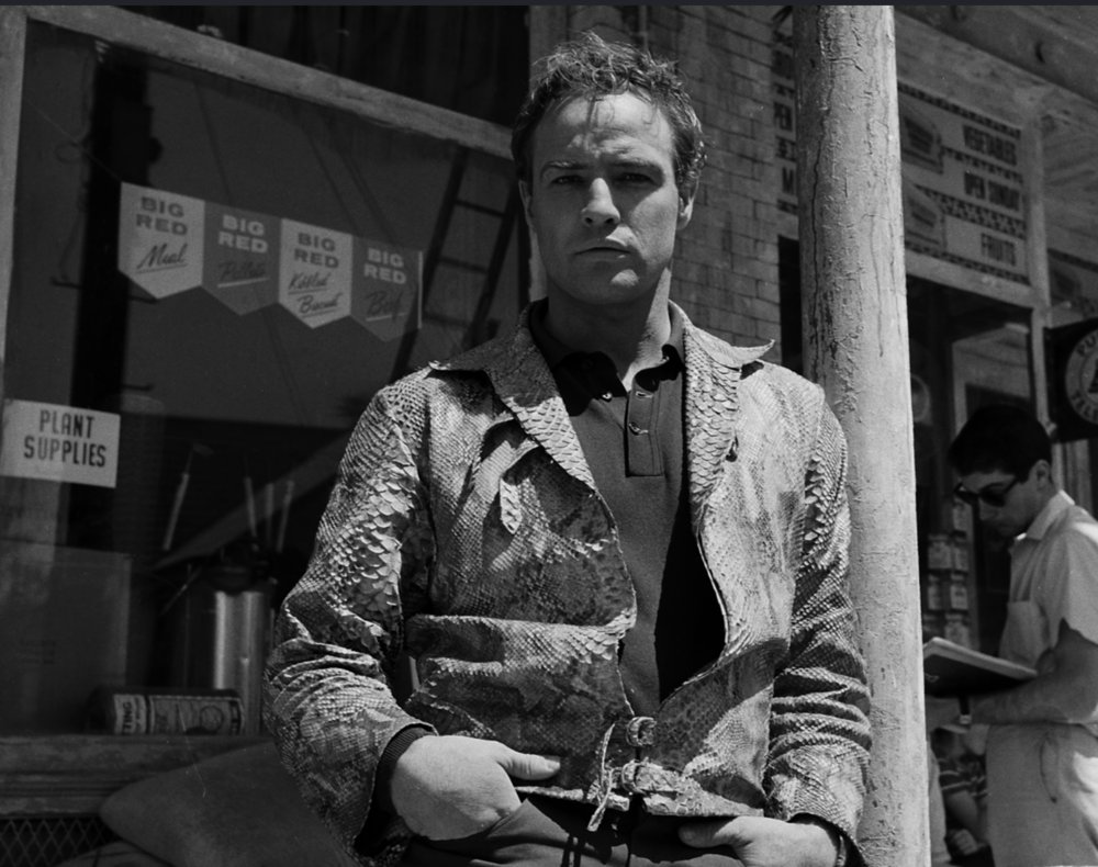 PlaygroundPoddy's tweet photo. Episode 25 is out now and its HOT STUFF - this time we're talking about Tennessee Williams' Greek myth-inspired melodrama ORPHEUS DESCENDING 🐍🎸

Apple: https://t.co/wfvTH6uXI0…
Spotify: https://t.co/L38hwVESX4… https://t.co/Uspq3FA0WC