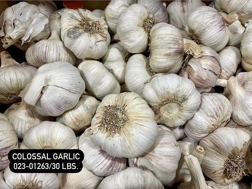 CharliesCareers's tweet photo. It’s National Garlic Day and we are highlighting some of our favorite types of garlic! Celebrate by planting a clove in your garden, making garlic bread or roasting it for a spread on toast. 🧄✨💫
•
•
•
#cultivatingfresh #nationalgarlicday #novampires #californiagarlic https://t.co/ajIUeWiEbu