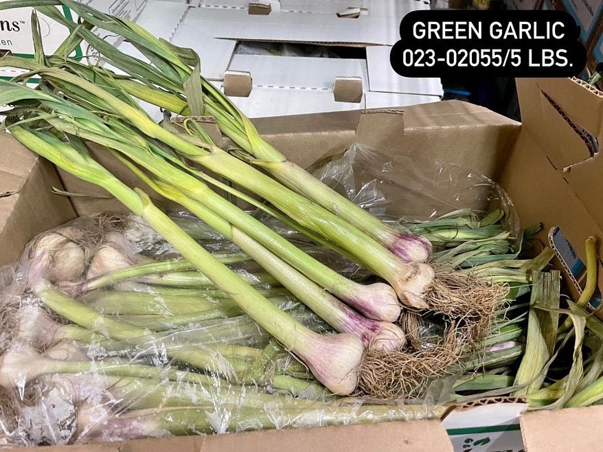 CharliesCareers's tweet photo. It’s National Garlic Day and we are highlighting some of our favorite types of garlic! Celebrate by planting a clove in your garden, making garlic bread or roasting it for a spread on toast. 🧄✨💫
•
•
•
#cultivatingfresh #nationalgarlicday #novampires #californiagarlic https://t.co/ajIUeWiEbu